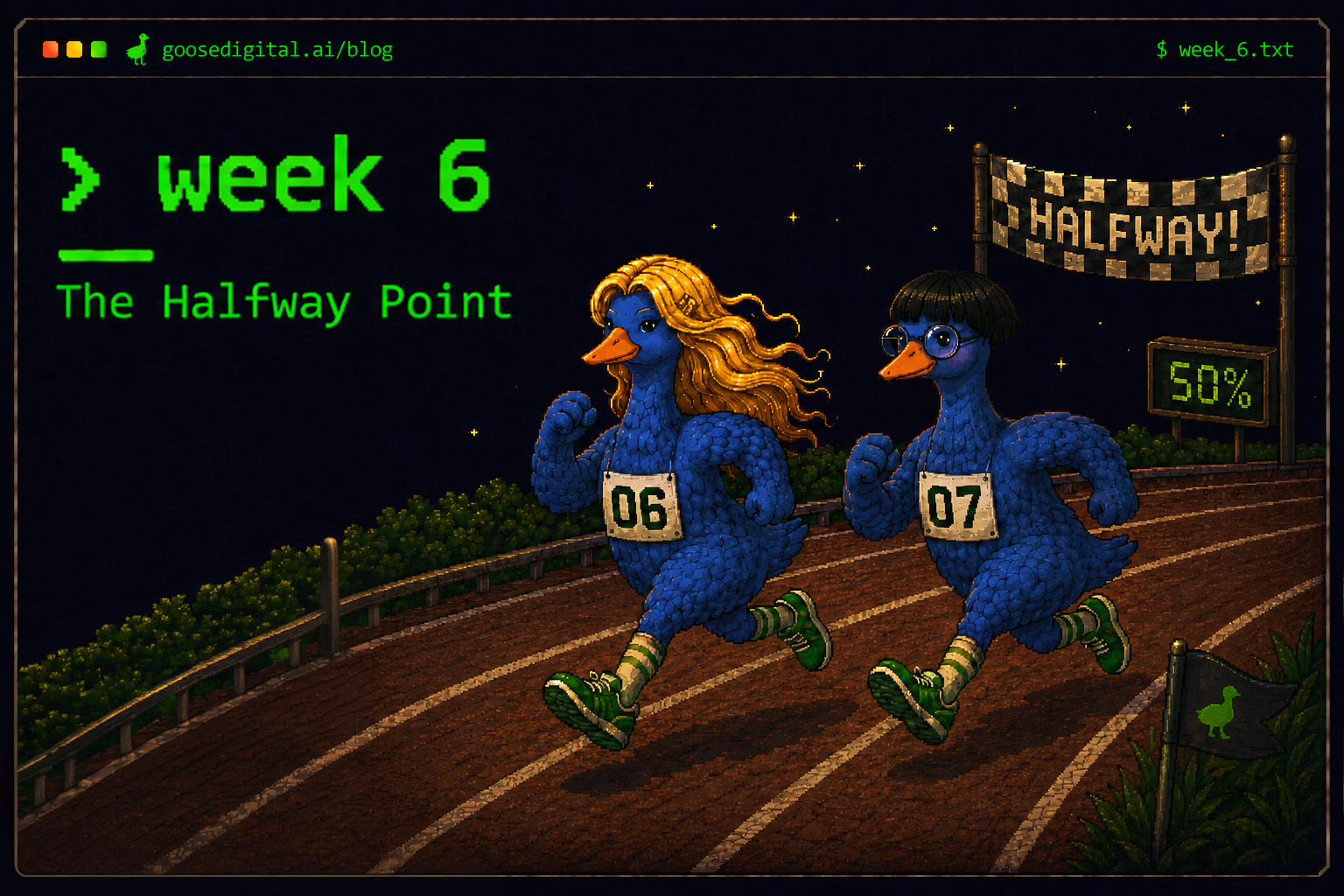 Pixel art terminal interface titled week 6 — the halfway point — with two blue geese racing on a moonlit running track under a HALFWAY banner reading 50 percent